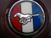 Mustang81