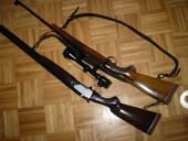 hare1985