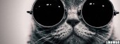 tigar1q