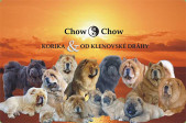 chowchowBrcko