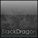 BlackDragon