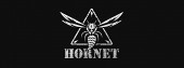 Hornet_ba