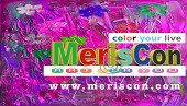 MerisConArt