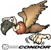 condor6