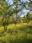 Lejla975