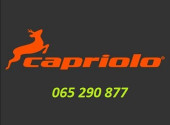 CaprioloSport