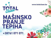TotalClean1