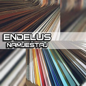 Endelus2020