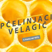 Pcelarstvo_V