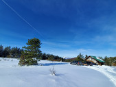 Samo_Roba