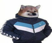 stefanpetar