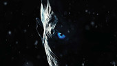Rex8