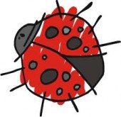 LadyBug