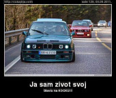 ante118