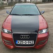 muris2402