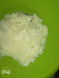 Kefirna gljiva, tibetanska gljiva, kefir
