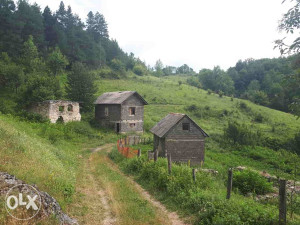 Zemljiste Trnovo - Donja Presjenica na prodaju