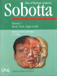 Anatomski atlas Sobotta vol1 vol2 vol3 (digitalni pdf.)