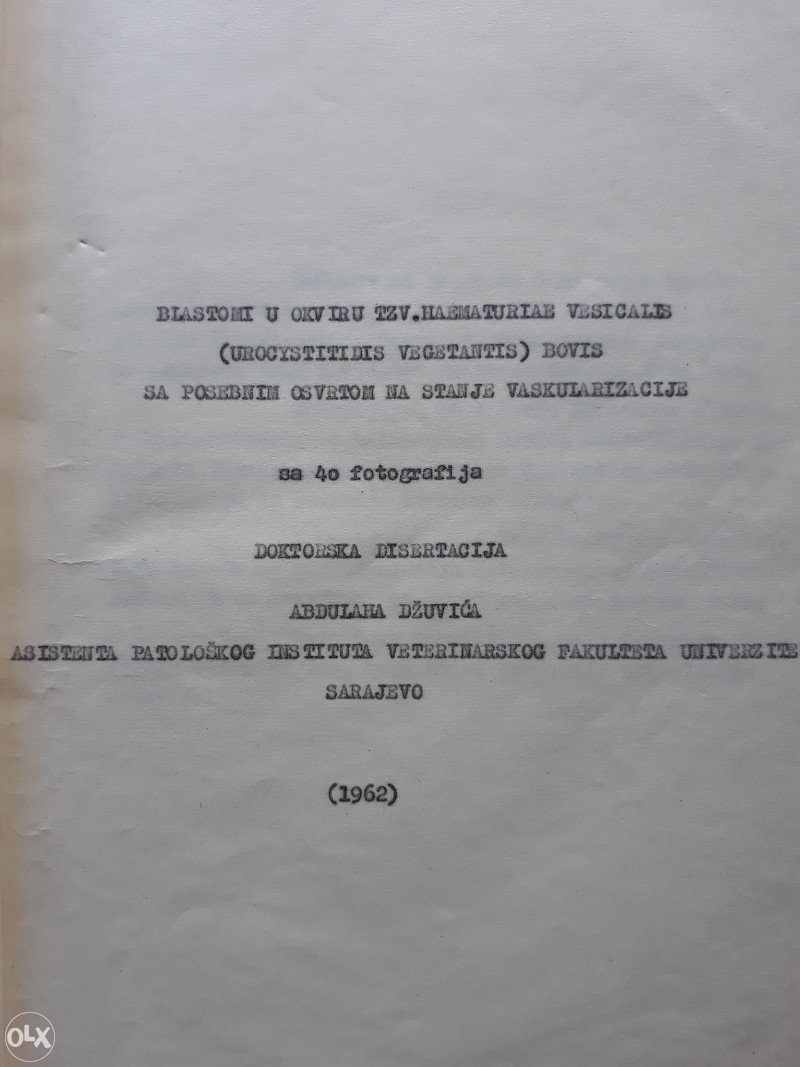 VETERINA DOKTORSKA DISERTACIJA, ABDULAH DŽUVIĆ, VETE