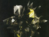 LINKING PARK - Living Things (Vinyl)