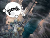 Perle 8: Gospodin Mardi Gra Pepelnik / DARKWOOD