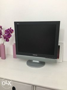 LCD TV/PC Monitor