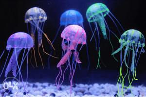 Dekoracija za akvarijum NOVO! (VIDEO) meduza - plava