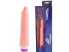 Vibrator