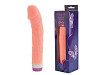 Vibrator