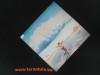 Manfred Mann's Earth Band LP / Gramofonska ploča