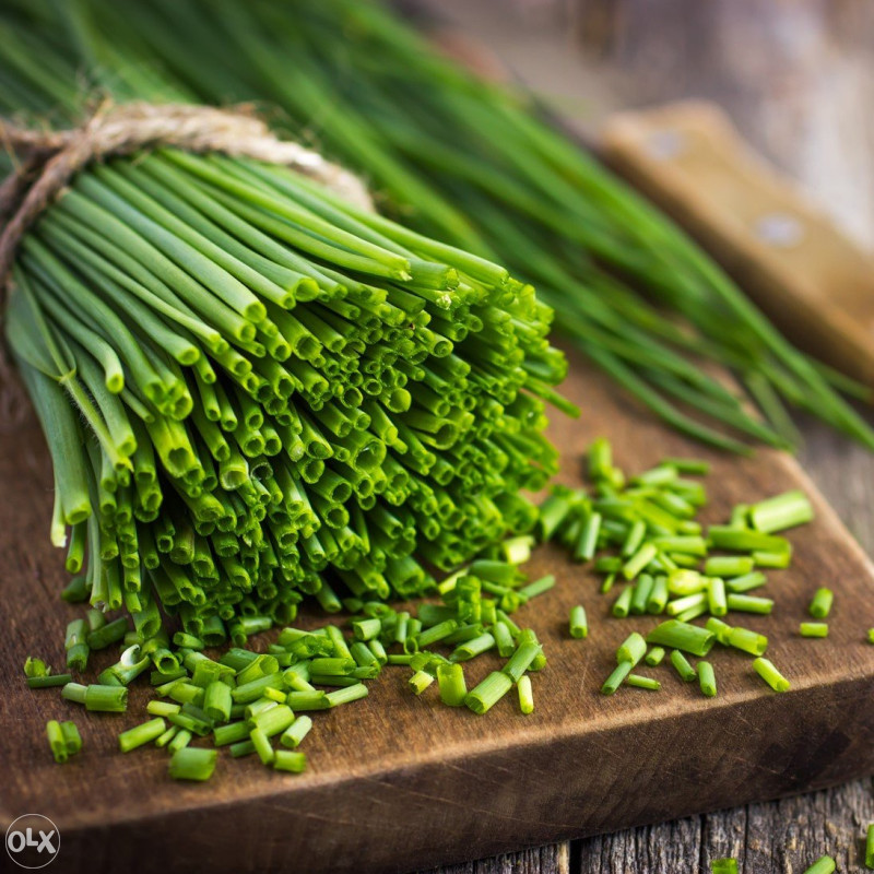Luk vlasac, vlašac (Allium sch.) ~100+ sjemenki