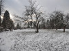PRODAJE SE 4000 m2 zemljišta u Rakovici