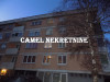 Dvosoban stan / 56 m2 / Pejton