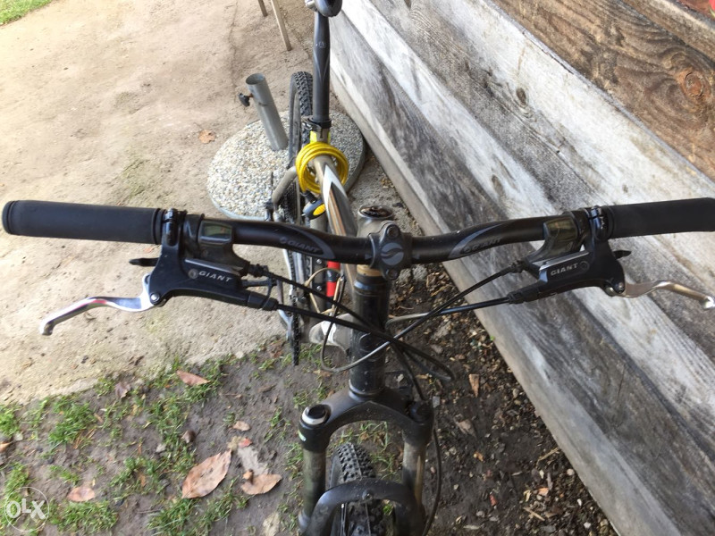 Giant mtb