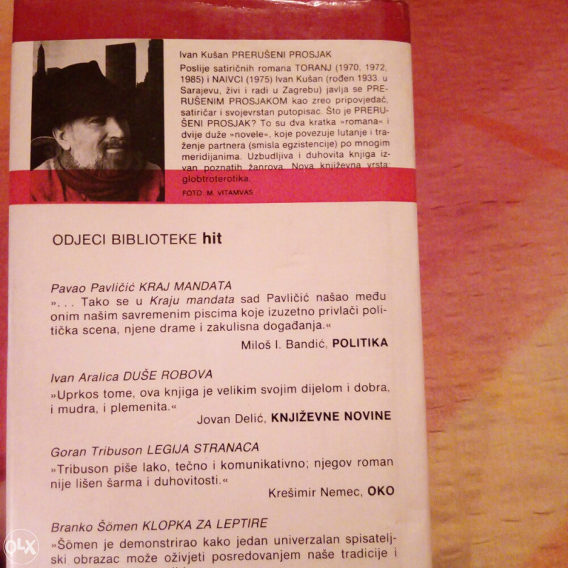 Prerušeni prosjak (Ivan Kušan)