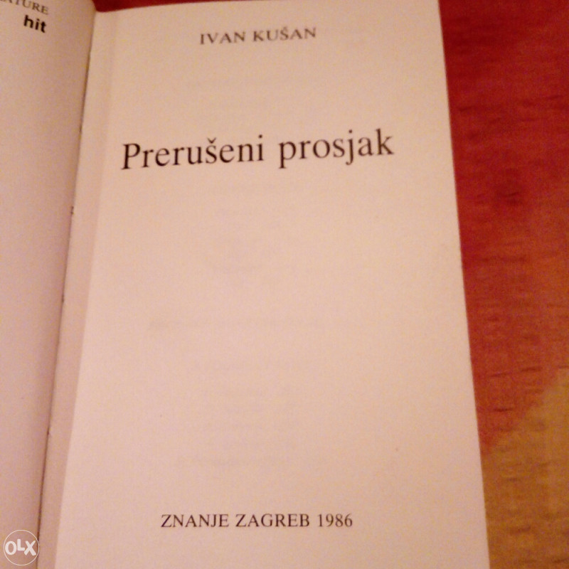 Prerušeni prosjak (Ivan Kušan)