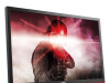 Monitor 24