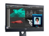 Monitor 24
