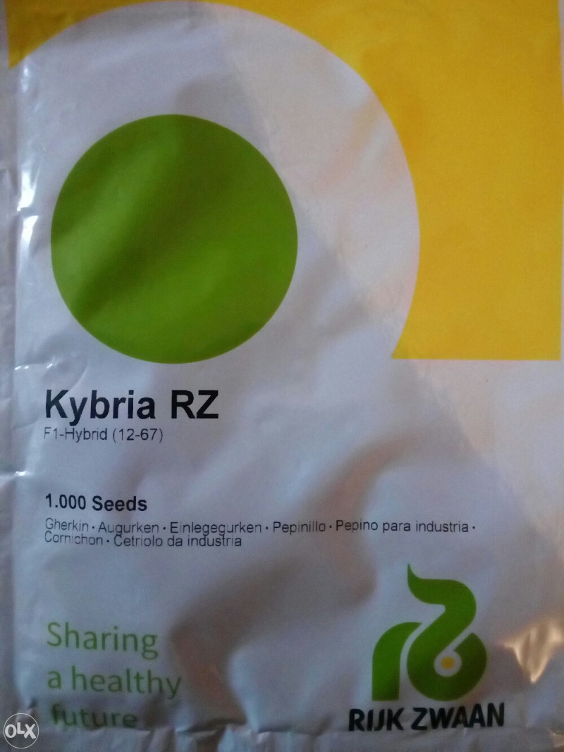 Sjeme kornison RZ Kybria F1 hibrid - Sjemena - OLX.ba