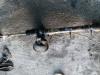 Renault clio 1 letva volana