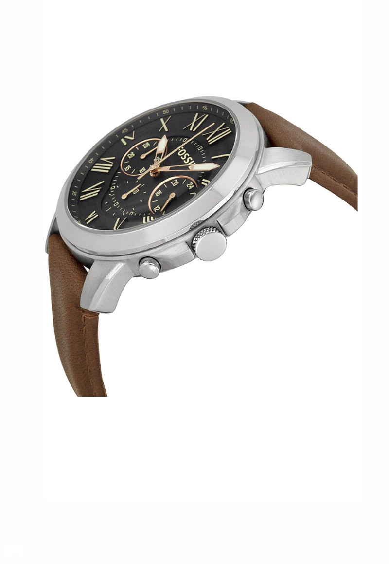 Sat Fossil