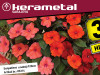 Sunpatiens u saksiji fi10cm