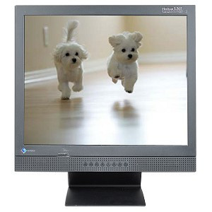MONITOR EIZO FLEXSCAN L565