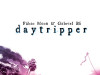 Daytripper / FIBRA