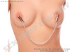 Stipaljke Za Bradavice BDSM Sado Mazo |FANTASY SEX SHOP