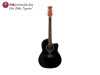 Applause by OVATION AB24A-5 akustična gitara