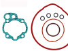 Set dihtunga, Minarelli Am6 50 cc.