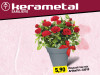Rosa pot rose mix