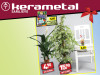 Ficus benjamini Twilight L40