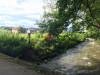 Zemljište - VITEZ - Kruščica